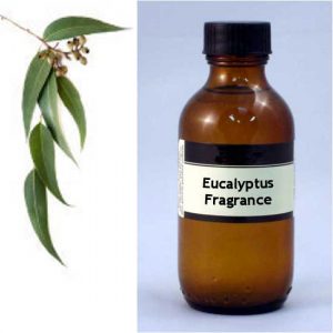 Eucalyptus (100mL)