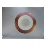 Bronze Ring / Wet Rated Recessed Light